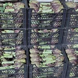 Artichoke