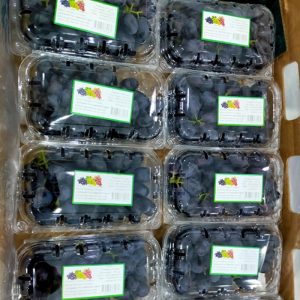 Black seedless grapes