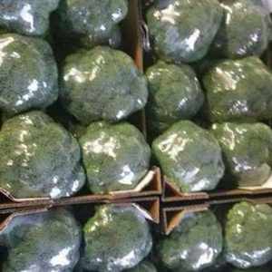 Broccoli