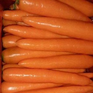 Carrot