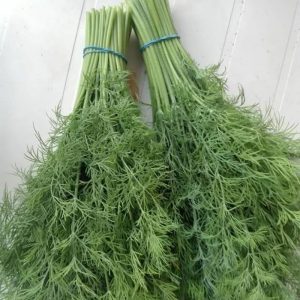 Dill