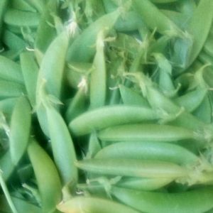 Peas (Sugar)