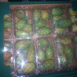 Prickly pear