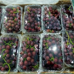 Red seedless grapes