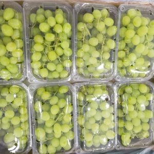 White seedless grapes